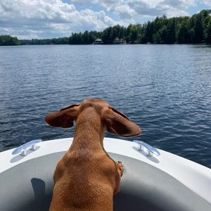 Meet your Posher, Jillian